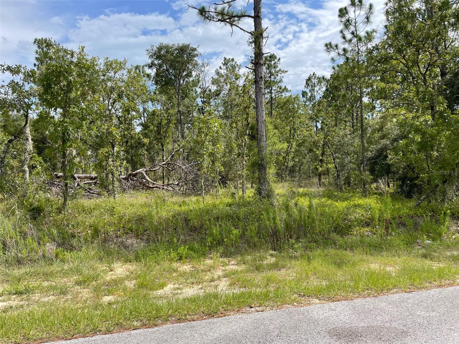 Details for Lot 18 Geranium Avenue, DUNNELLON, FL 34431