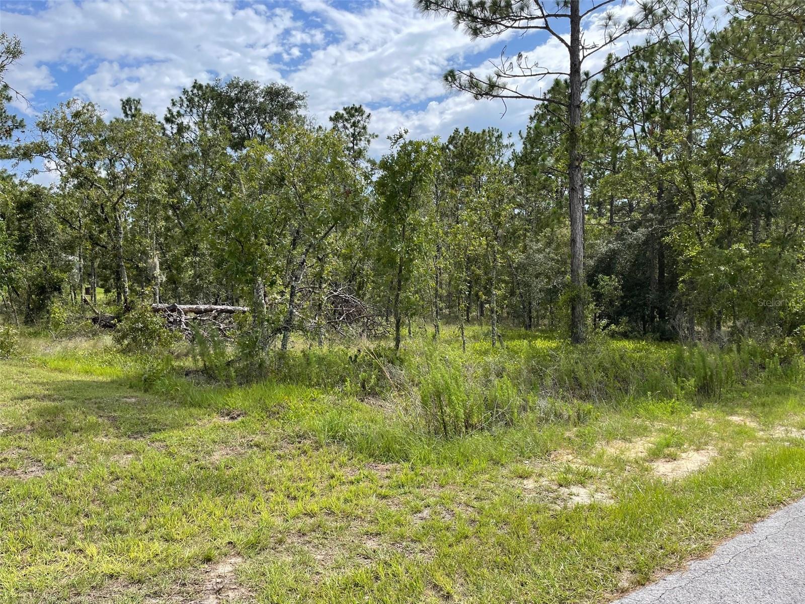 Listing photo id 0 for Lot 18 Geranium Avenue