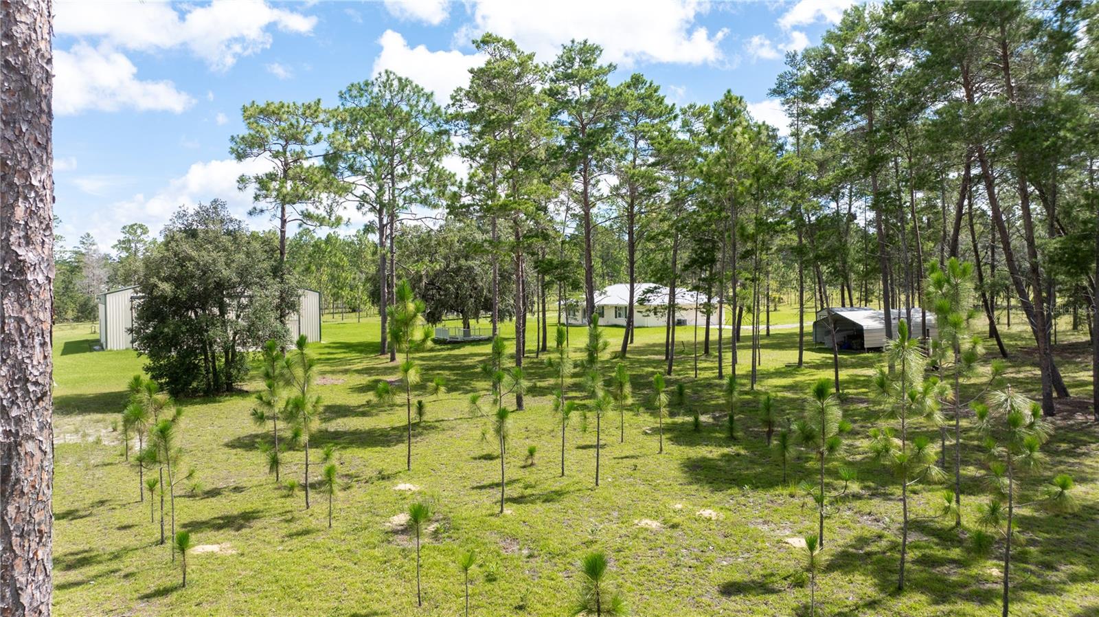 Image 78 of 79 For 6490 138th Avenue
