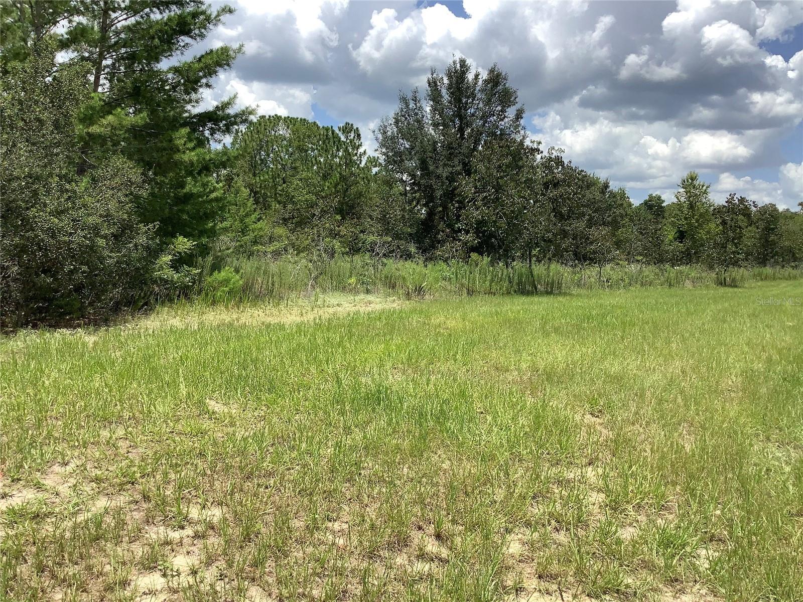 Image 11 of 13 For Marion Oaks Blvd