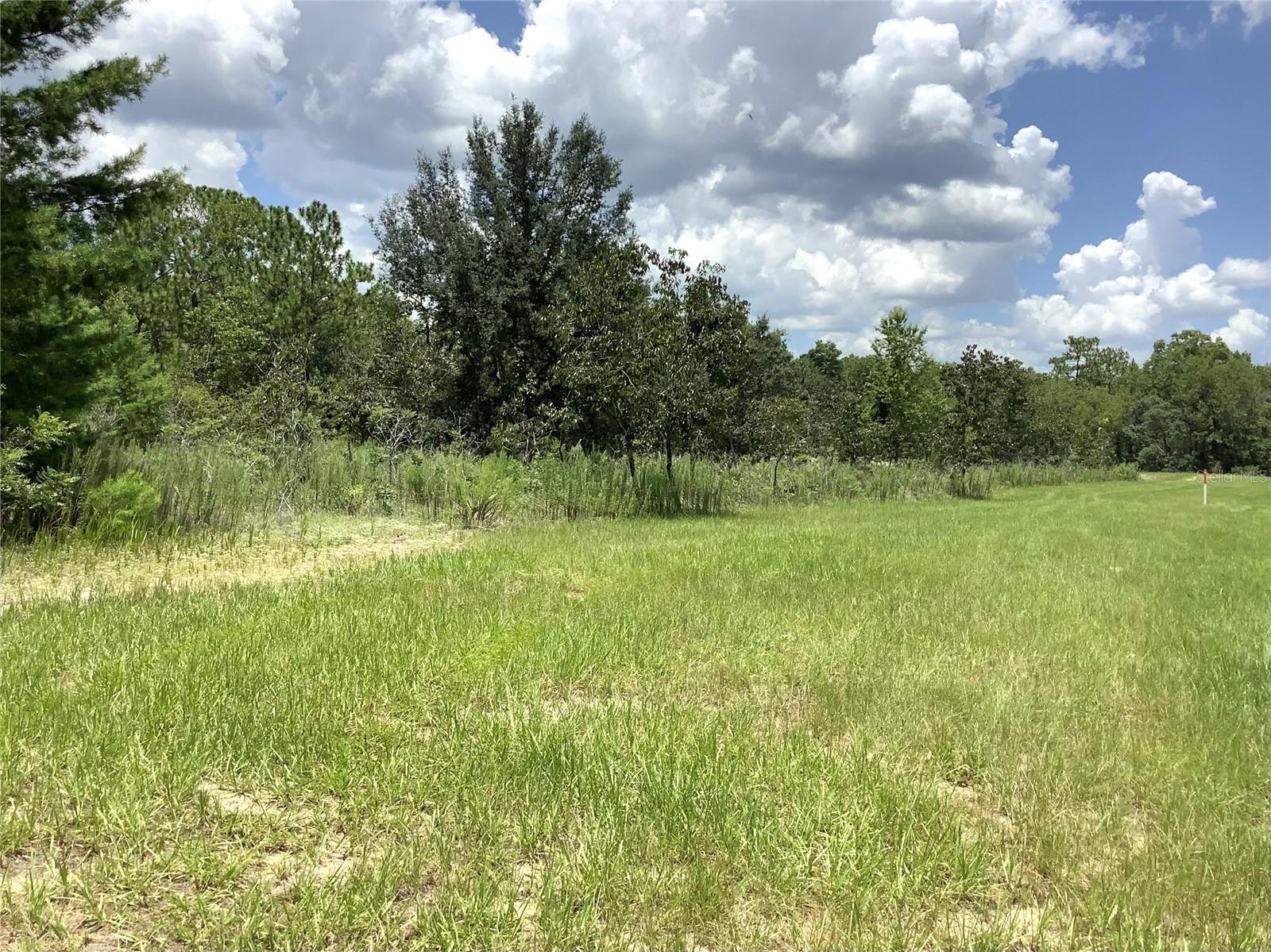 Image 4 of 13 For Marion Oaks Blvd