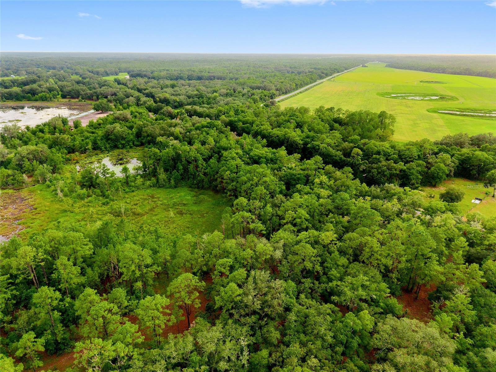 Image 13 of 13 For Tbd Hwy 315  