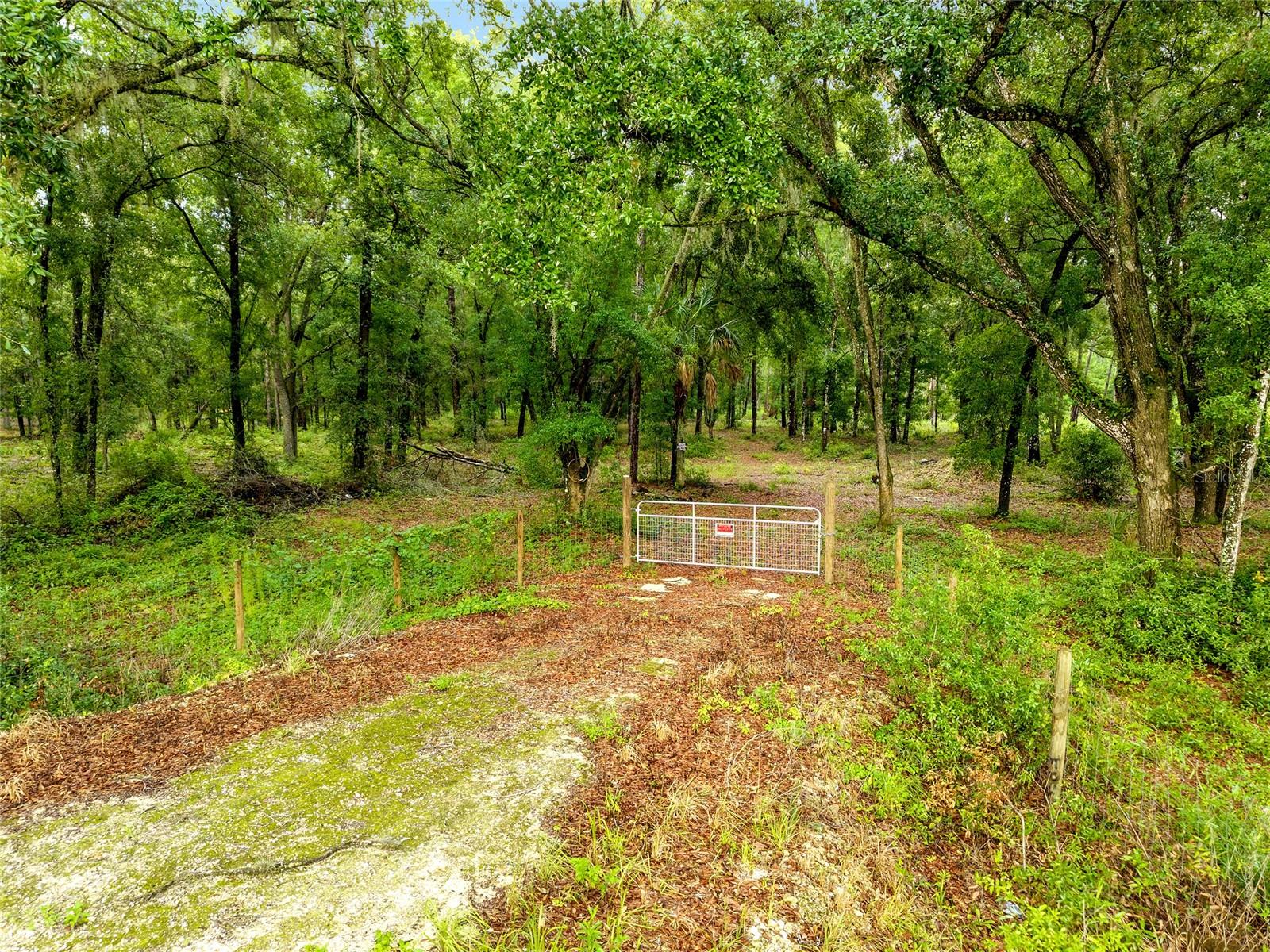 Image 4 of 13 For Tbd Hwy 315  