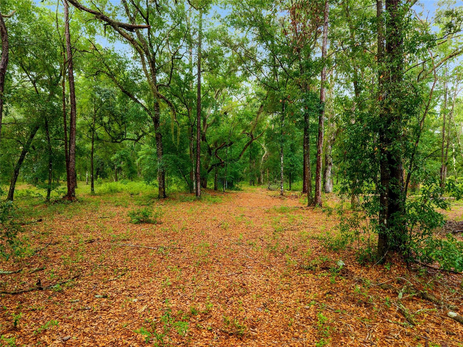 Image 6 of 13 For Tbd Hwy 315  