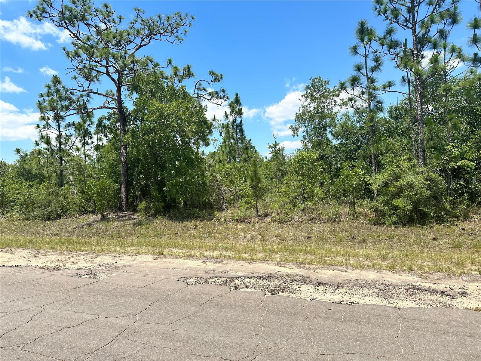 Details for Cavalier Drive, CHIPLEY, FL 32428