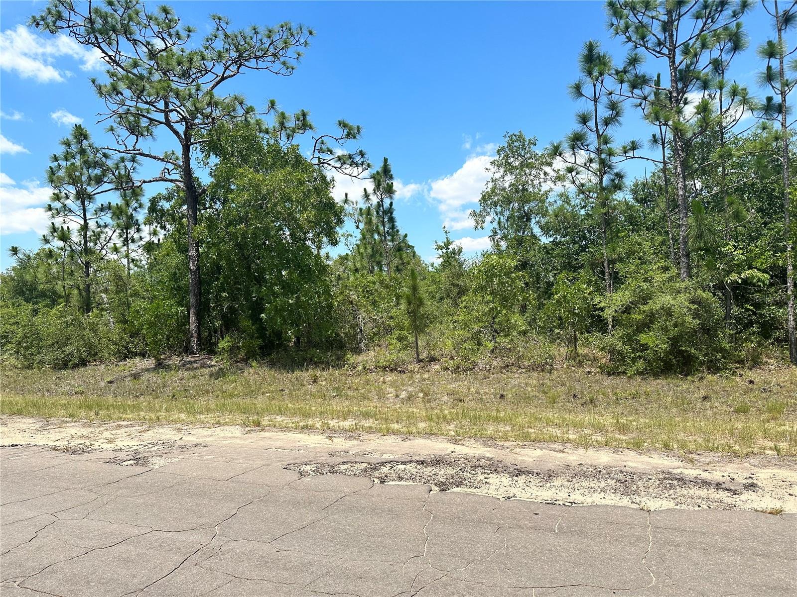 Image 2 of 5 For Cavalier Drive