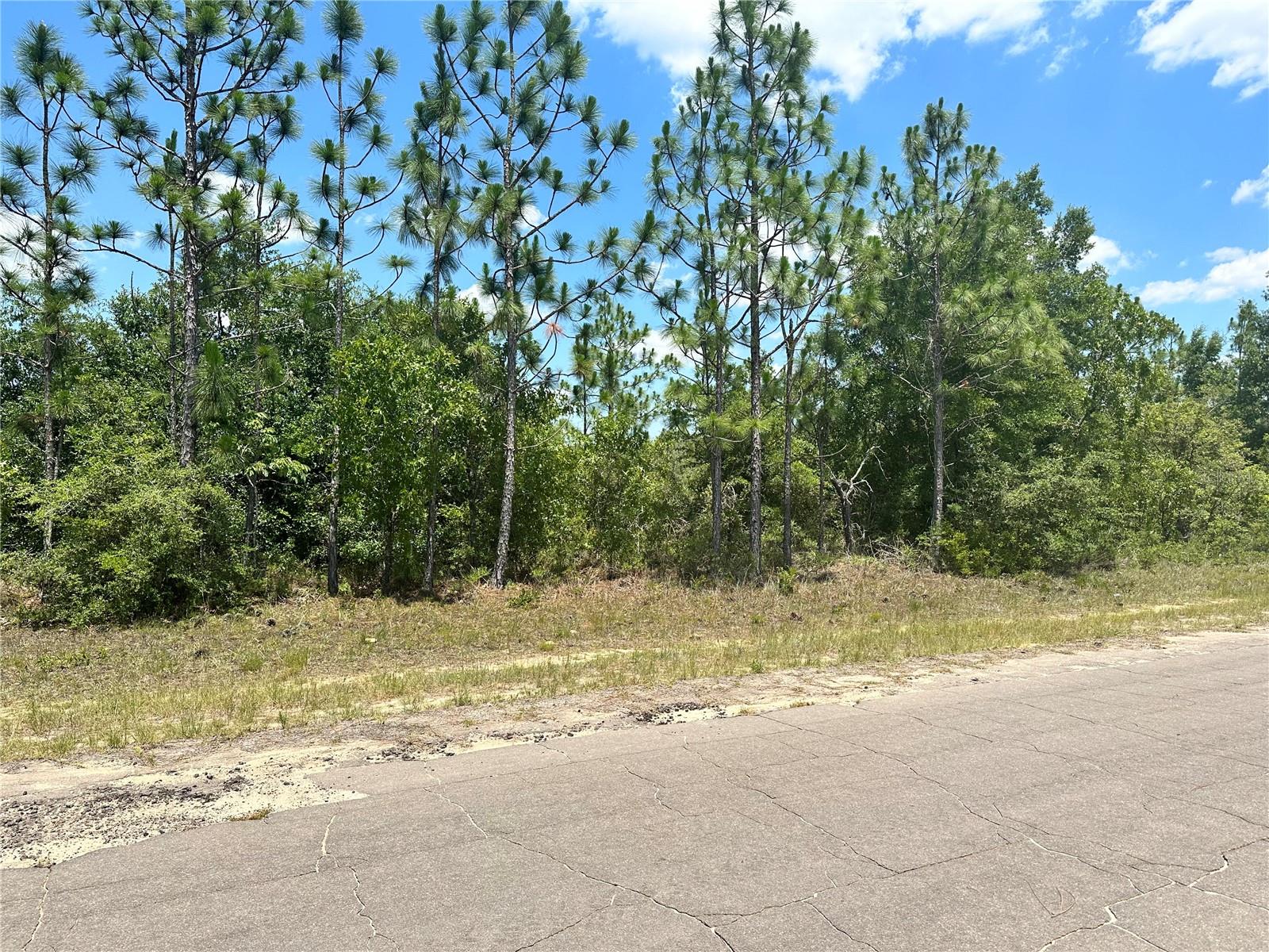 Image 3 of 5 For Cavalier Drive