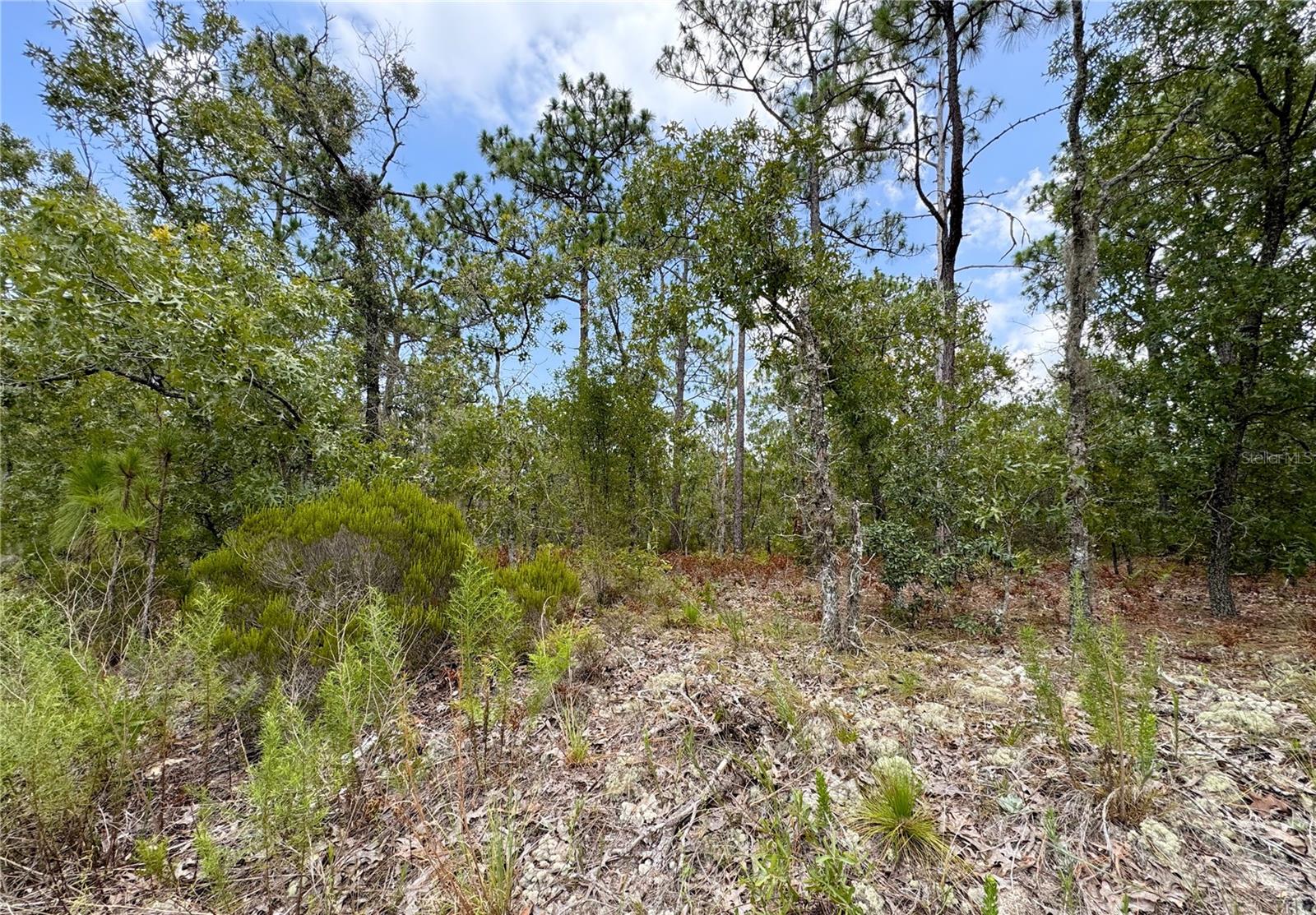 Listing photo id 1 for 5317 Mint Point