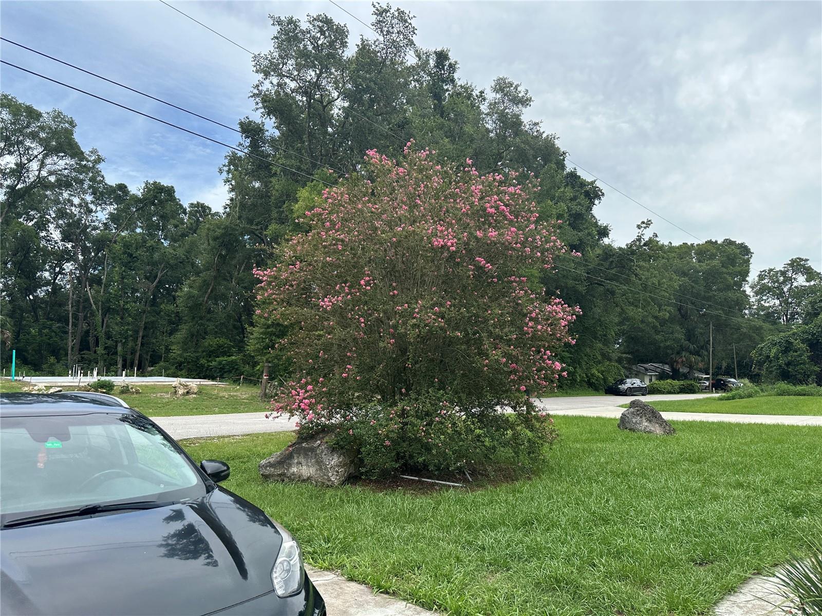 Image 8 of 33 For 13678 55th Avenue