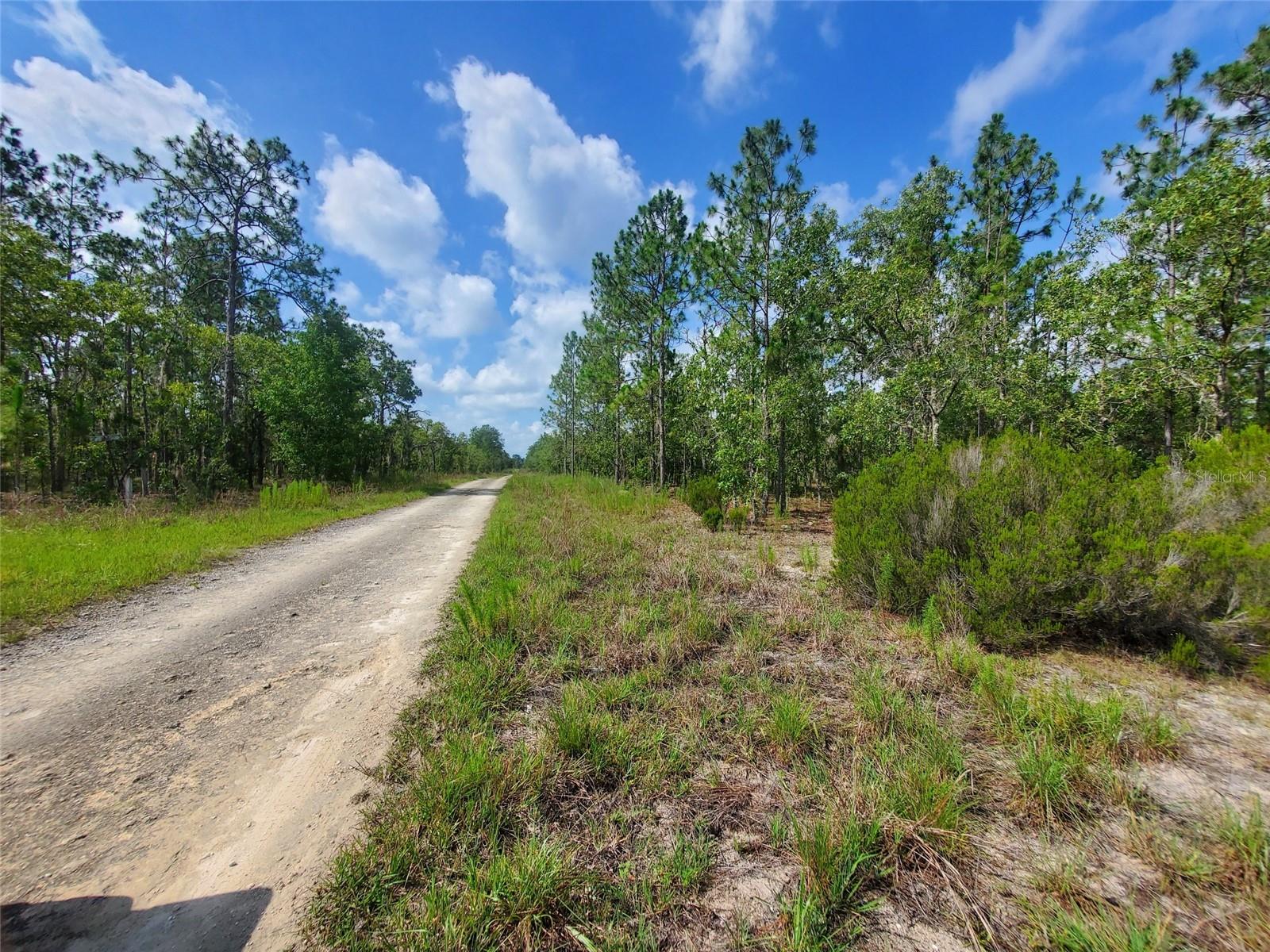 Details for 1270 151st Avenue, WILLISTON, FL 32696