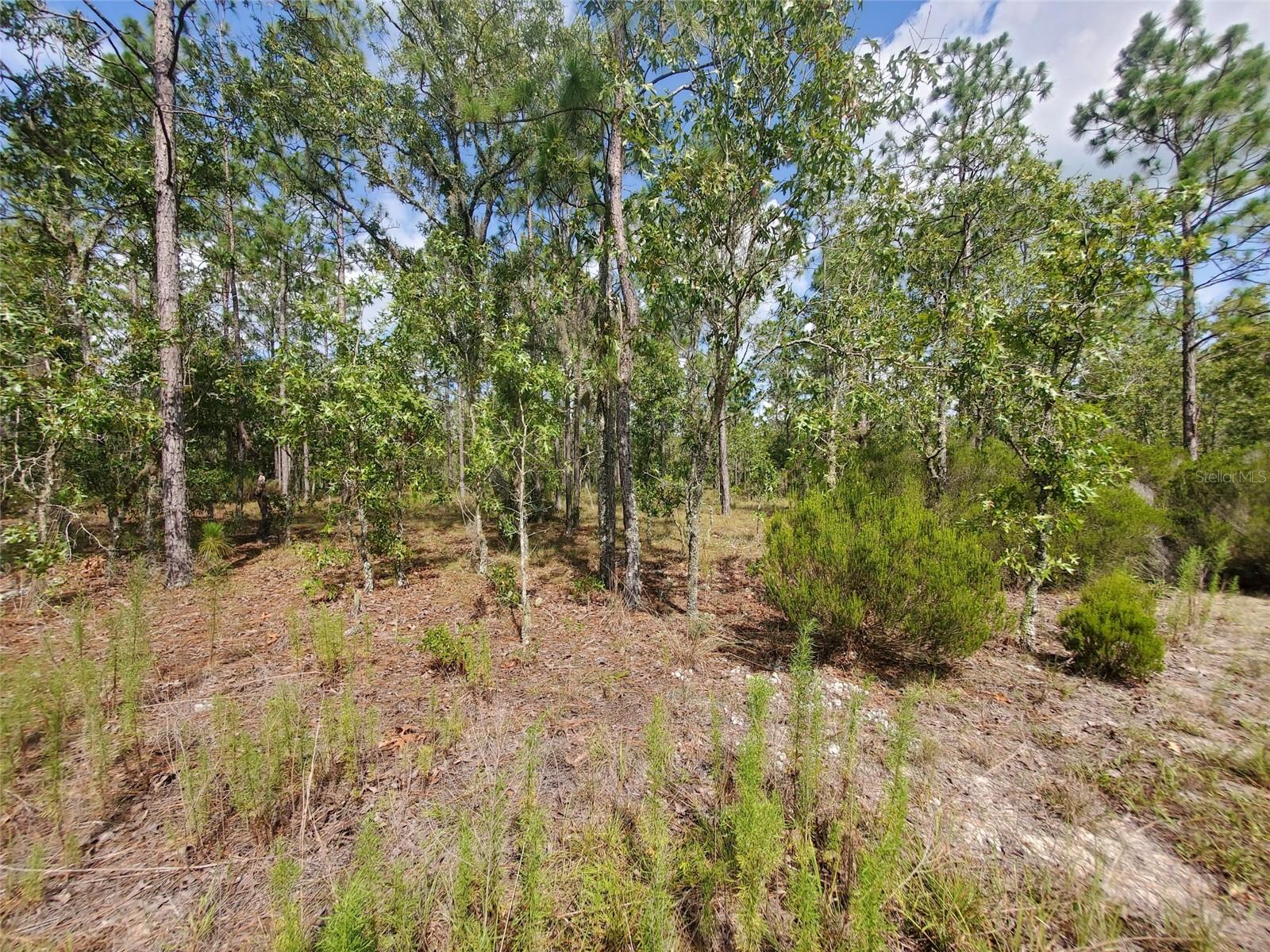 Image 4 of 5 For 1270 151st Avenue