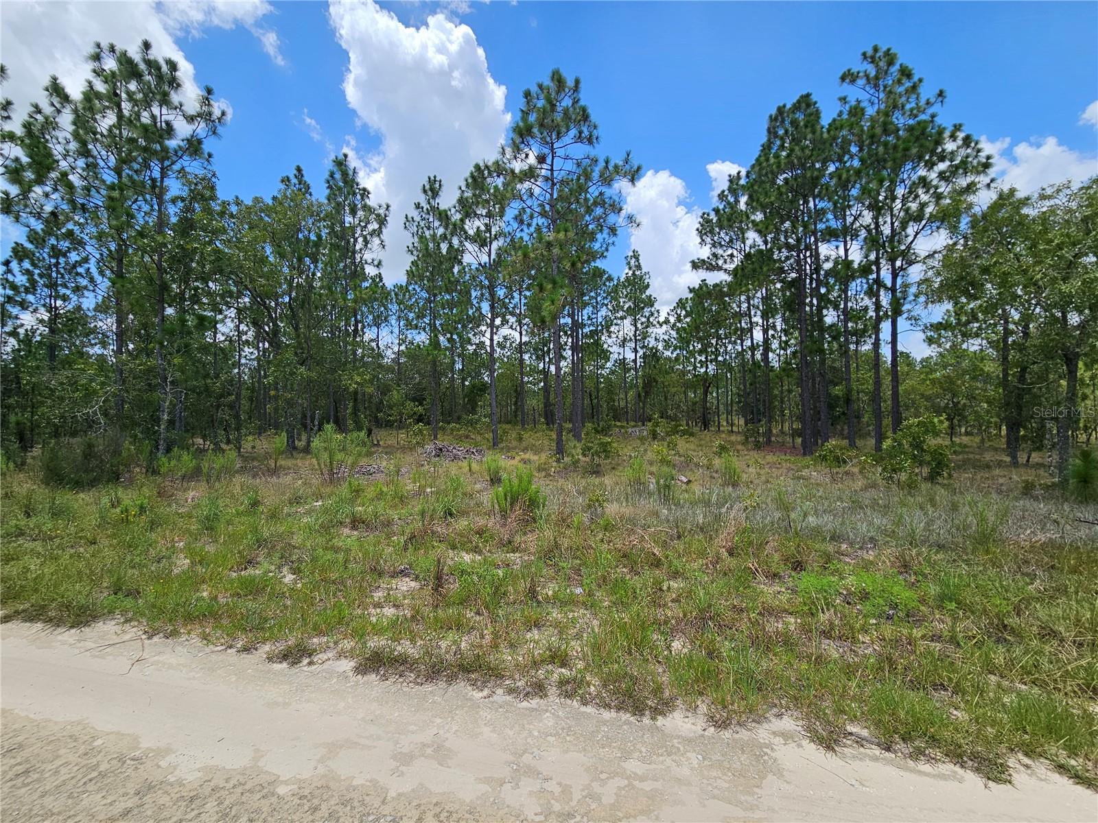 Image 8 of 8 For 1270 151st Avenue