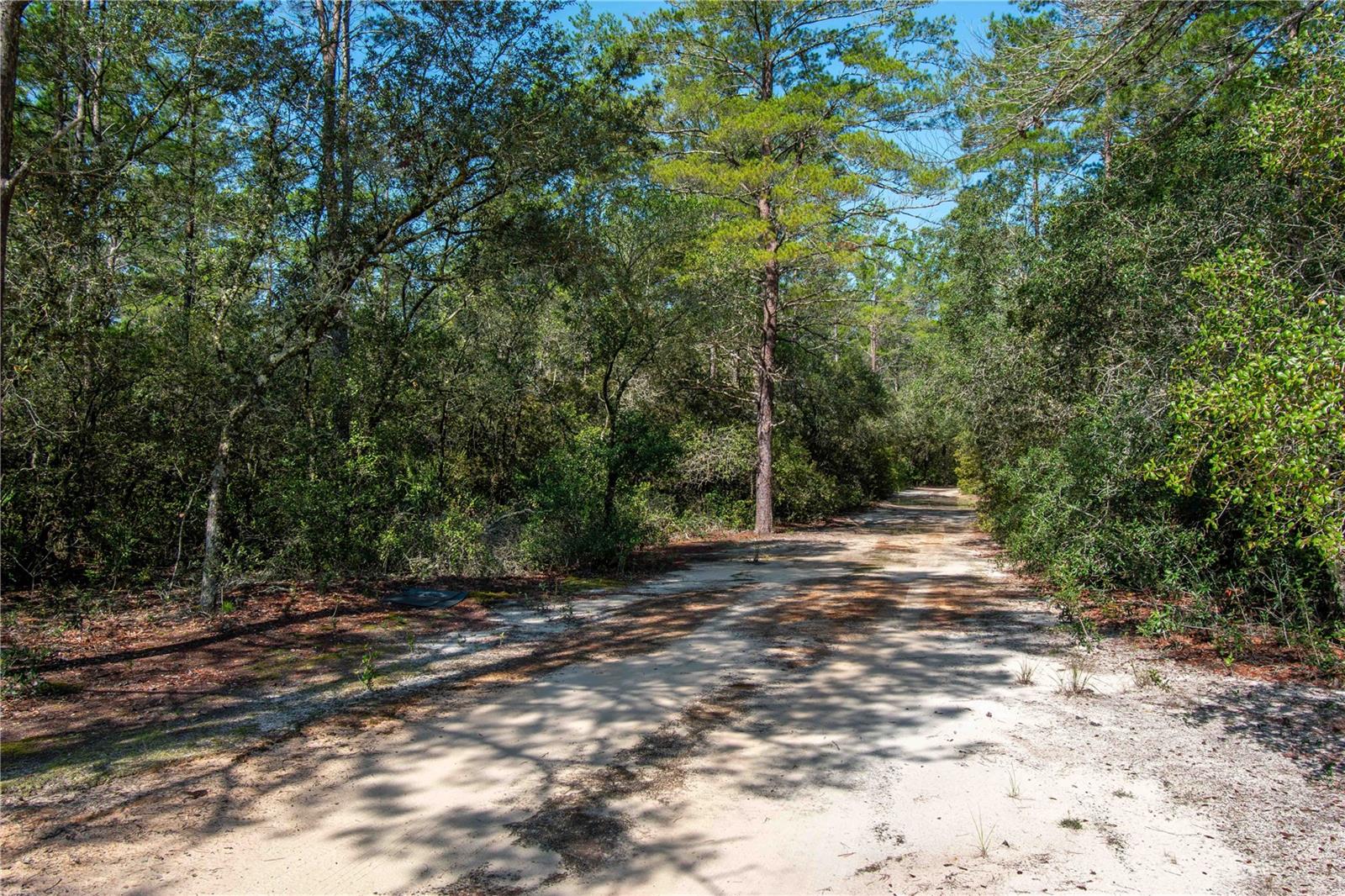 Image 32 of 37 For 551 Fisher Road