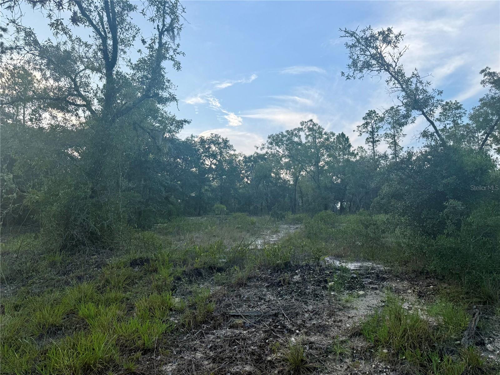 Details for 00 Barnacle Drive, DUNNELLON, FL 34431