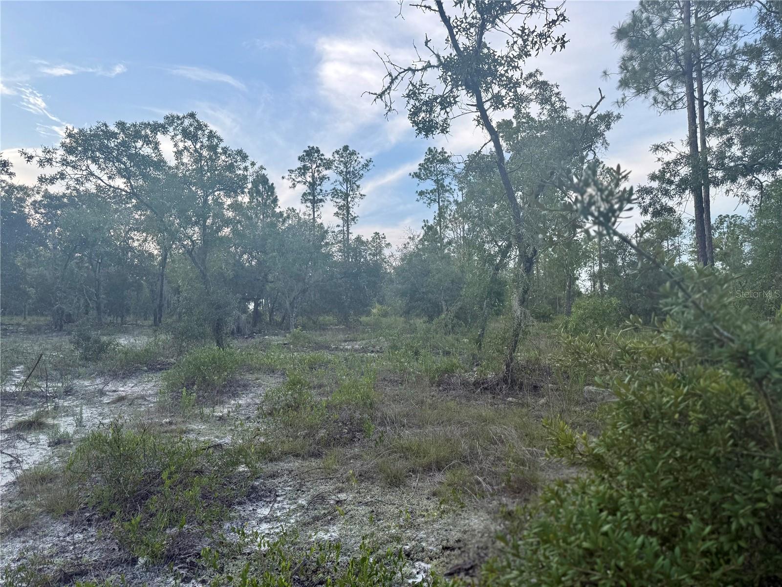 Image 4 of 9 For 00 Barnacle Drive