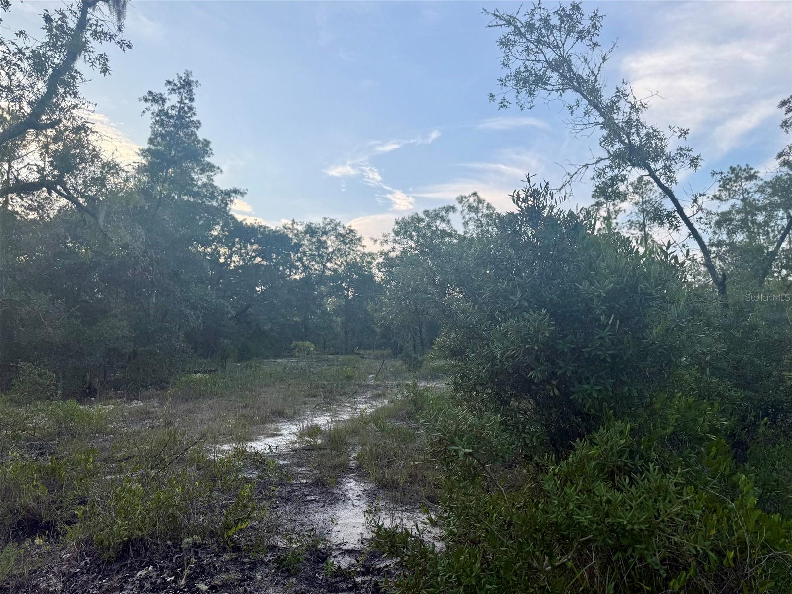 Image 5 of 9 For 00 Barnacle Drive