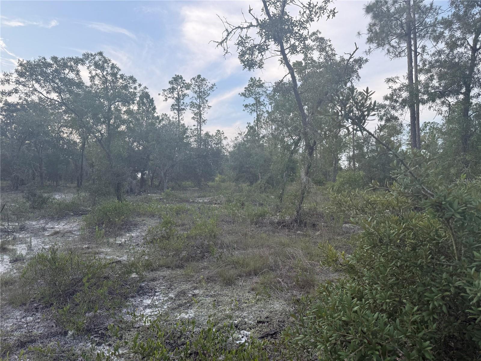 Image 6 of 9 For 00 Barnacle Drive