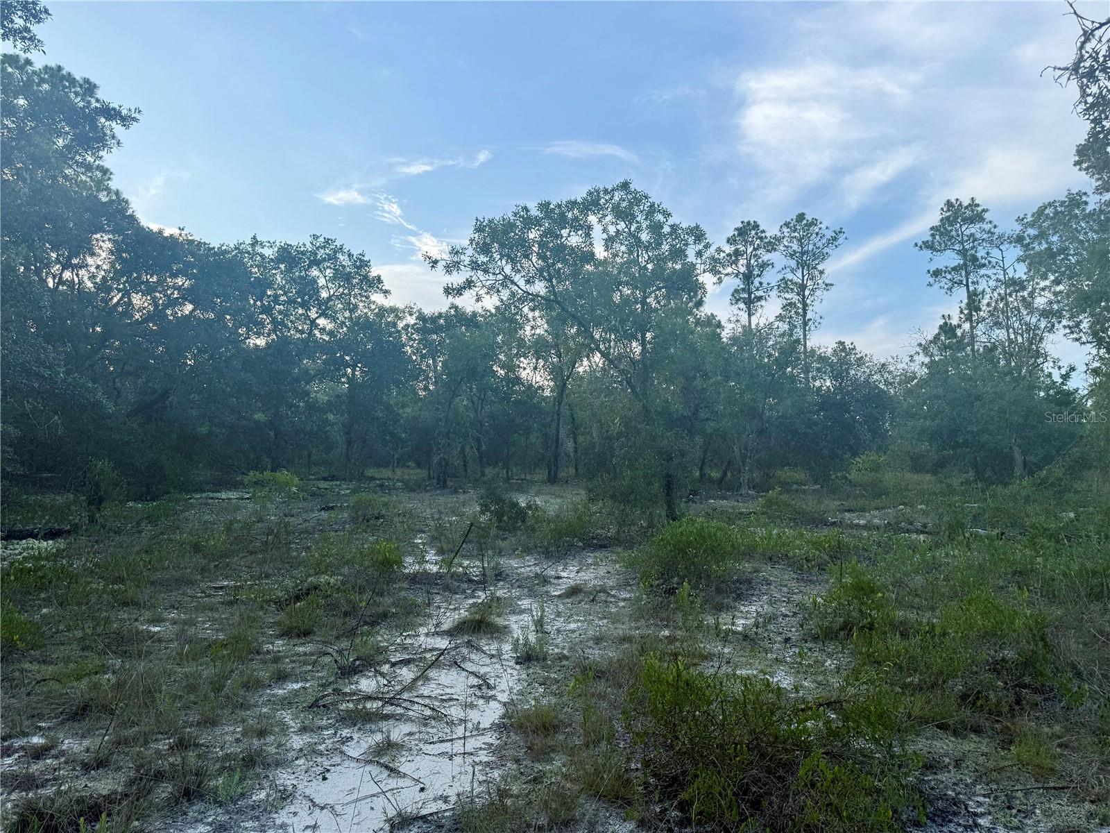 Image 7 of 9 For 00 Barnacle Drive