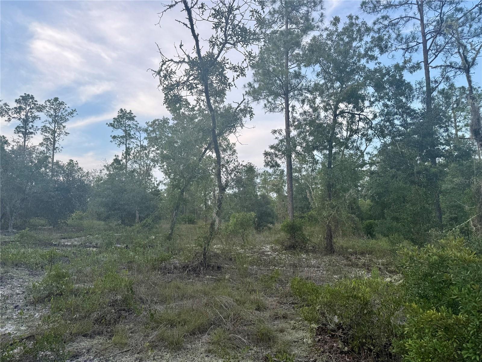 Image 8 of 9 For 00 Barnacle Drive