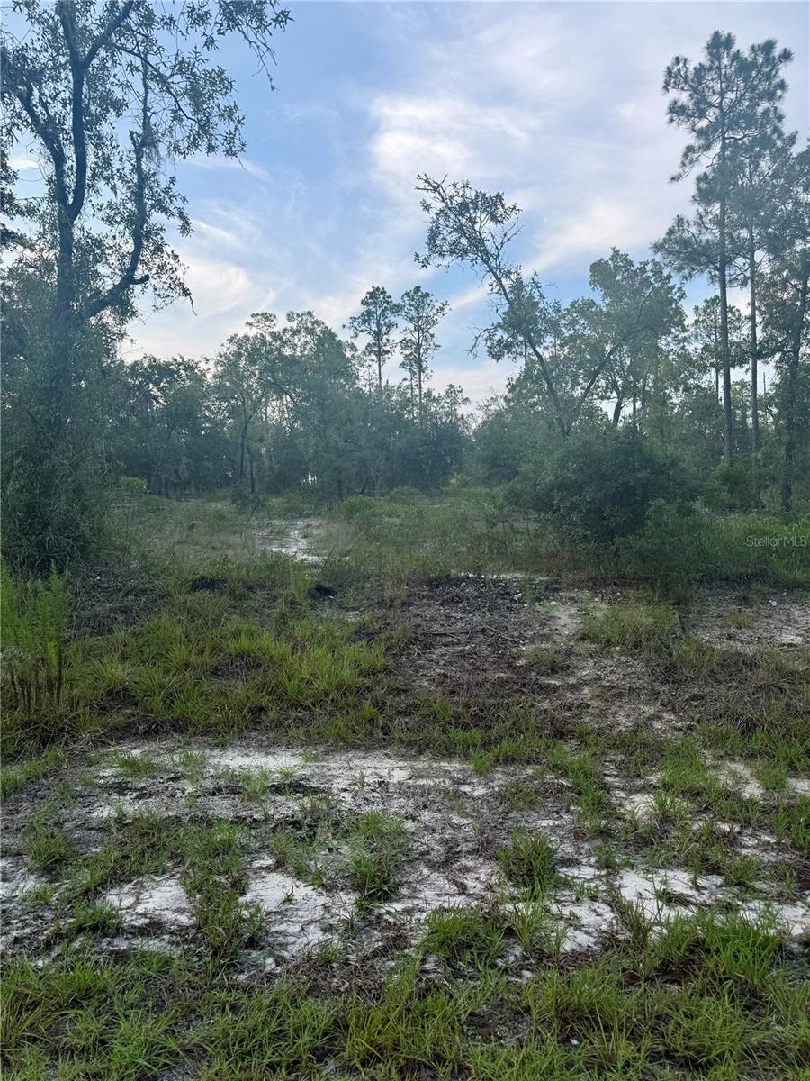 Image 9 of 9 For 00 Barnacle Drive