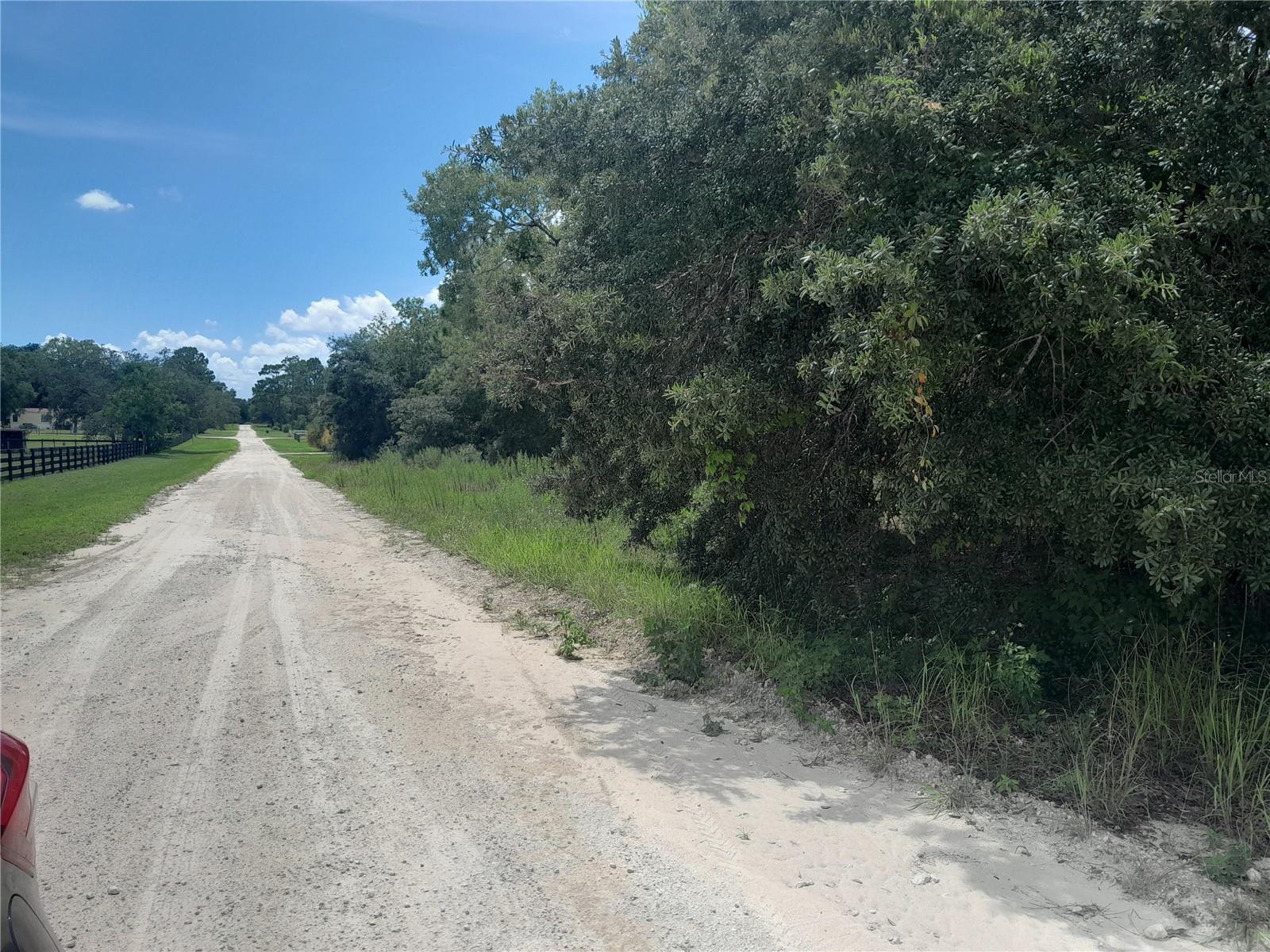 Details for Tbd 28th Street, MORRISTON, FL 32668