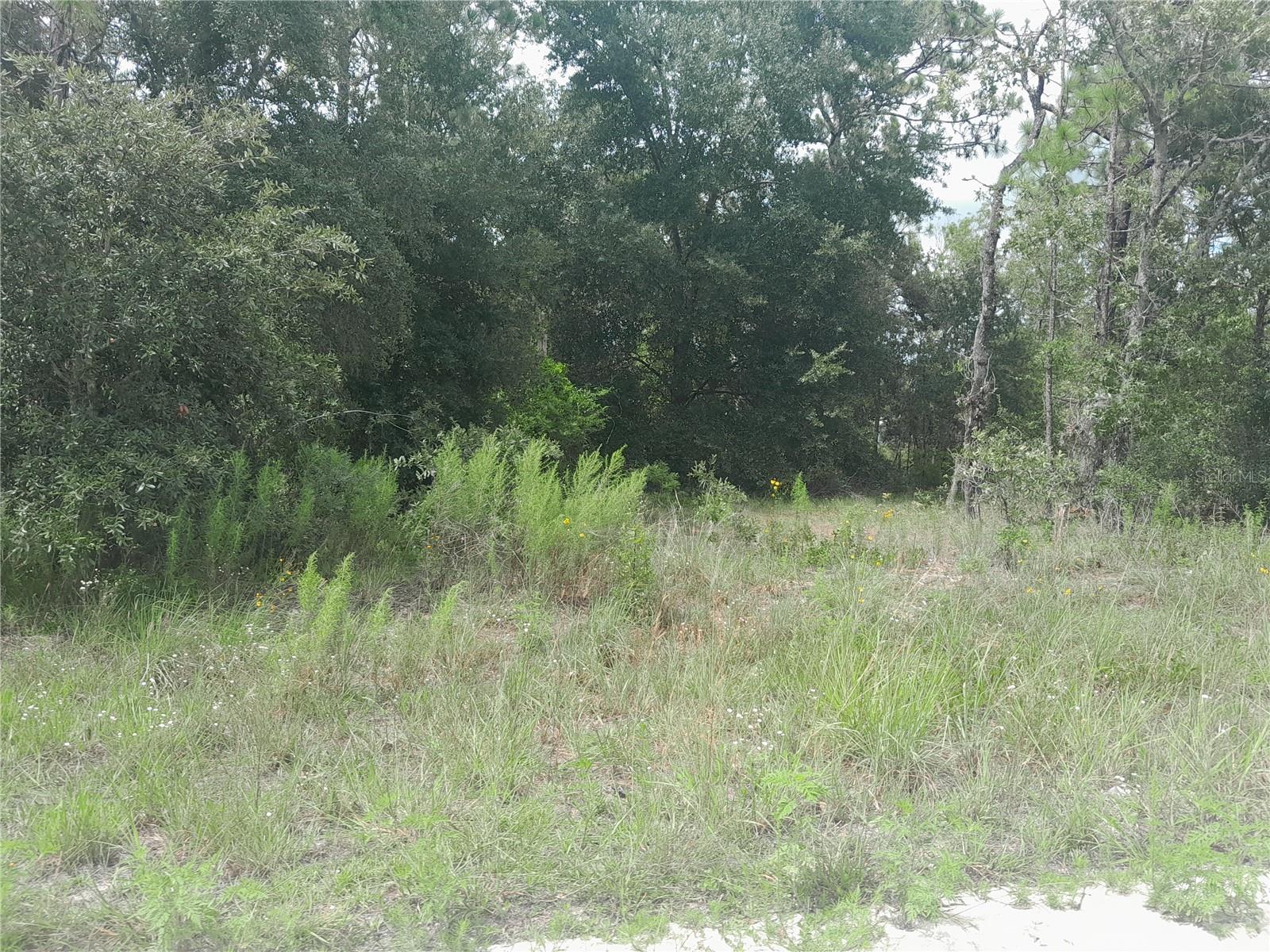 Image 2 of 9 For Tbd 28th Street