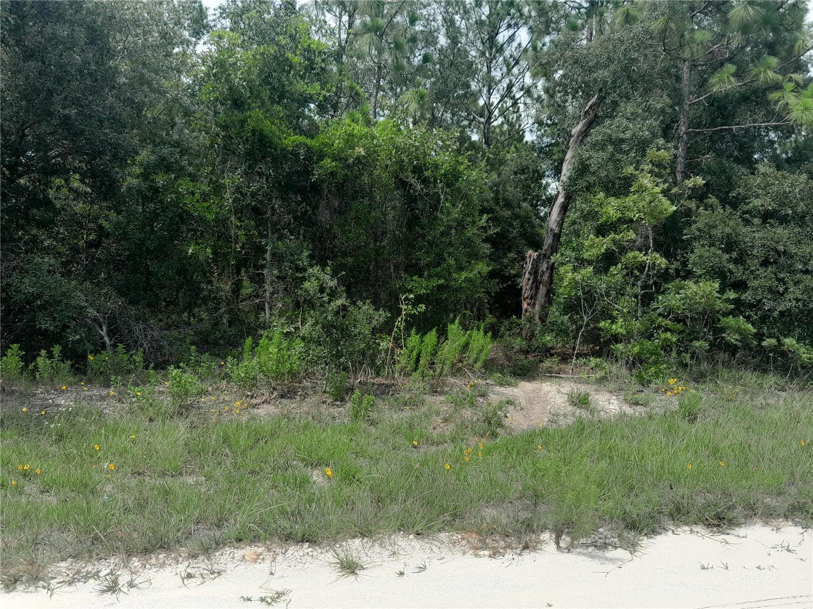 Image 3 of 9 For Tbd 28th Street