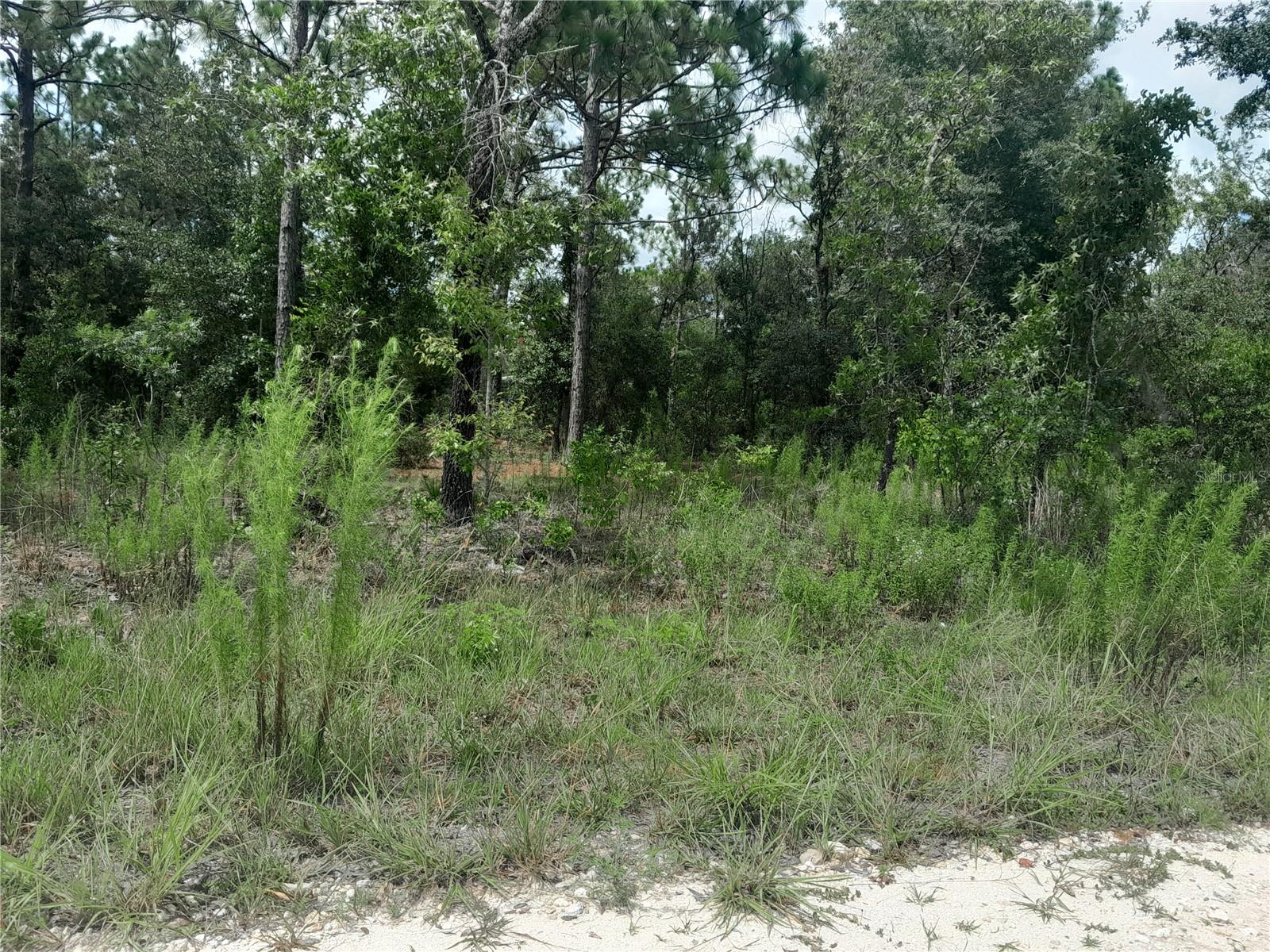 Image 4 of 9 For Tbd 28th Street