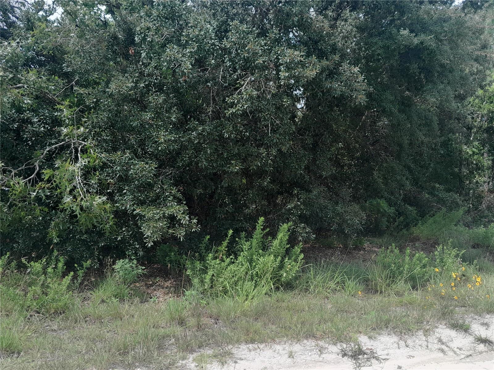 Image 5 of 9 For Tbd 28th Street