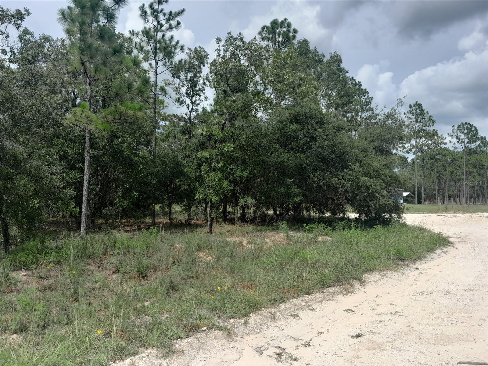 Image 7 of 9 For Tbd 28th Street
