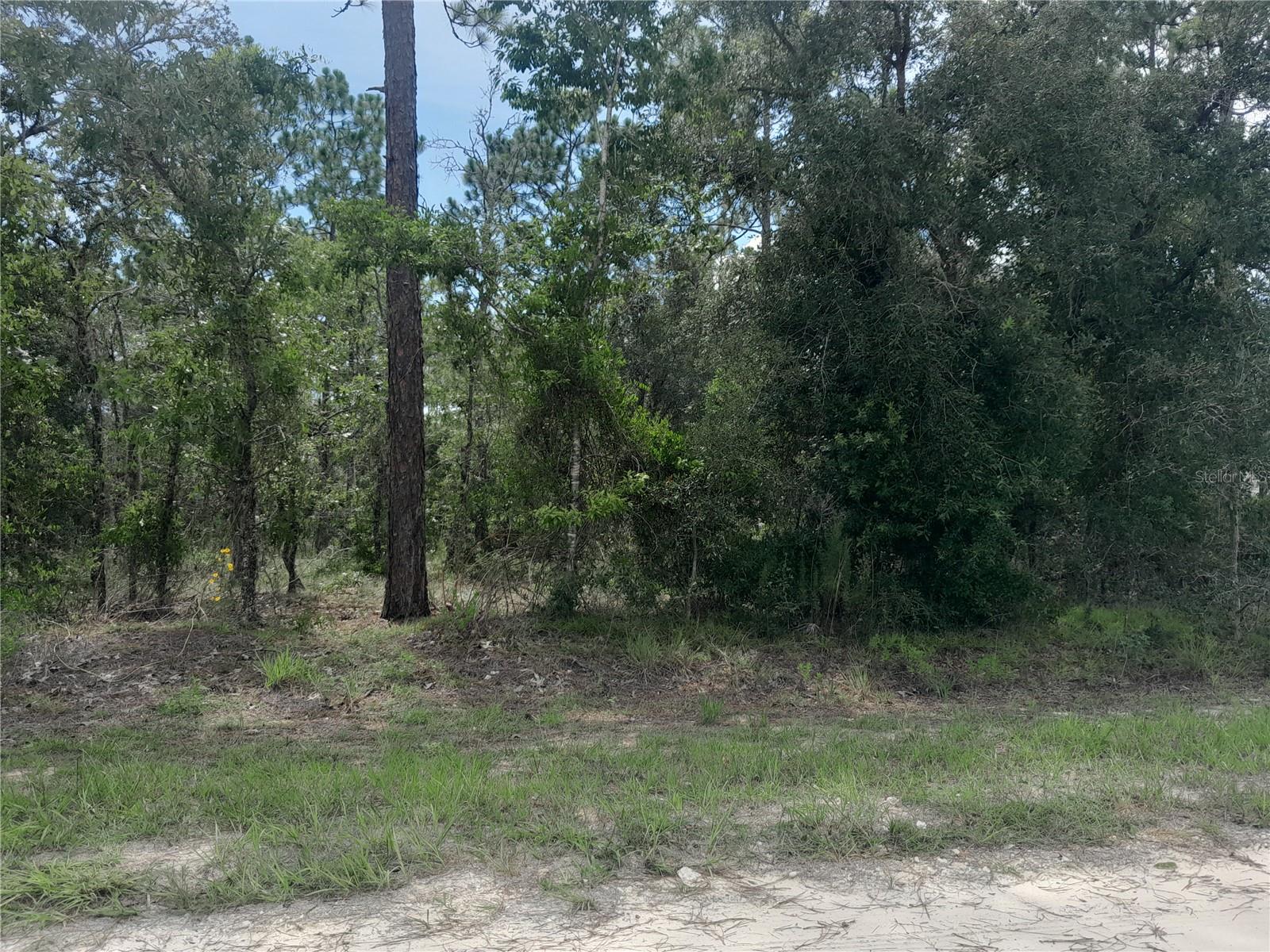 Image 8 of 9 For Tbd 28th Street
