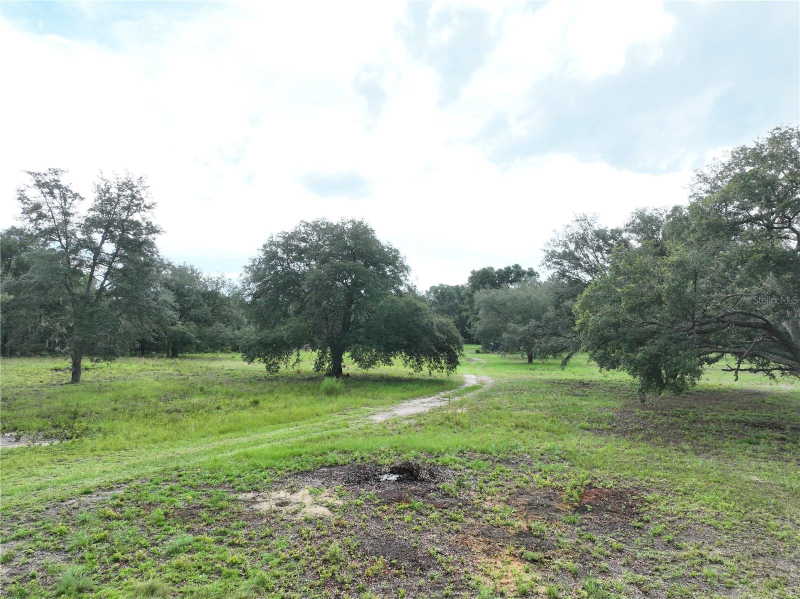 Details for 6671 131st Avenue, WILLISTON, FL 32696