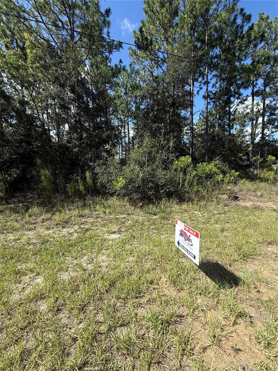 Listing photo id 2 for 2190 Tacoma Drive
