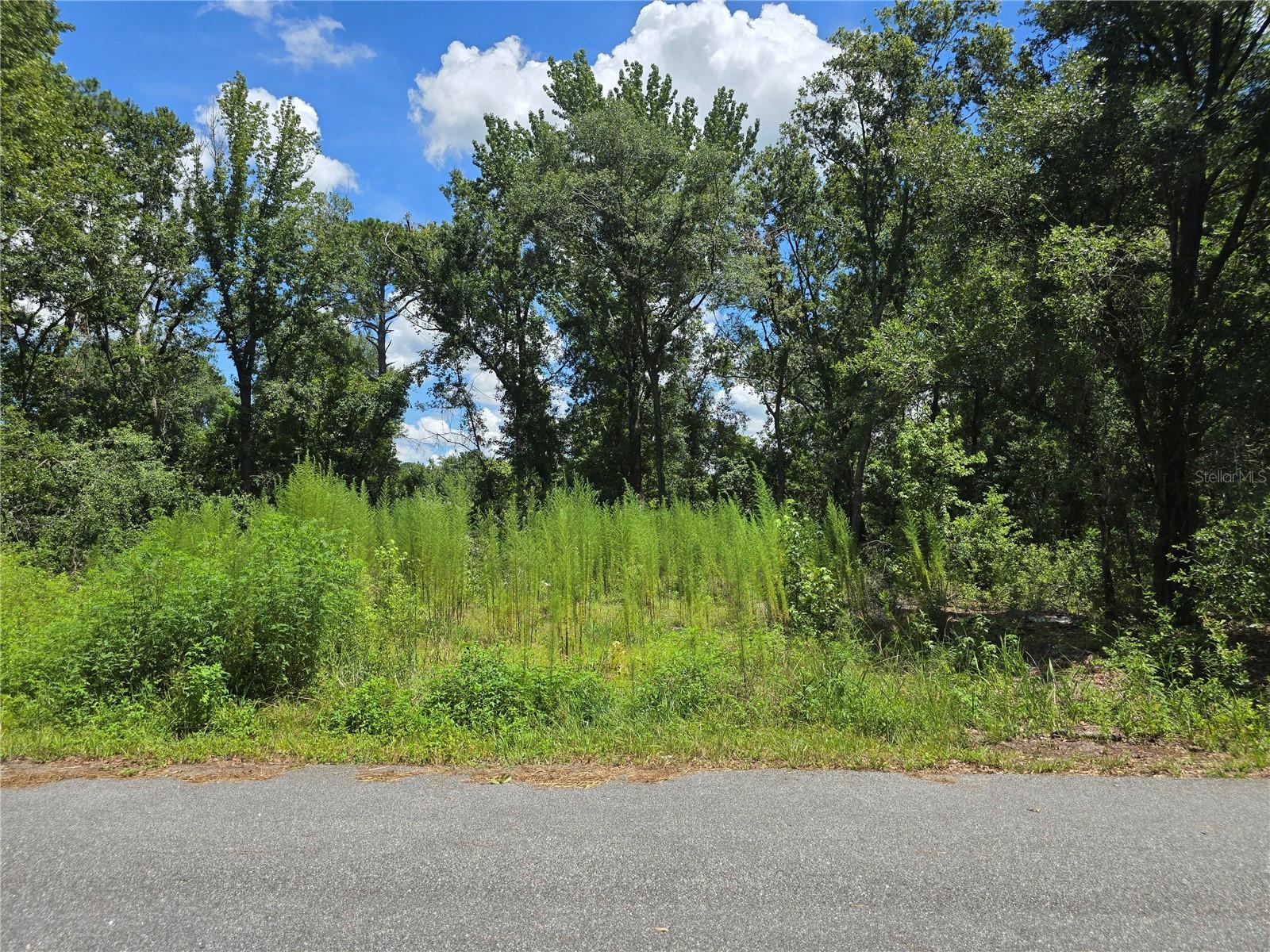 Listing Details for 234 Oak Lane Way, OCALA, FL 34472