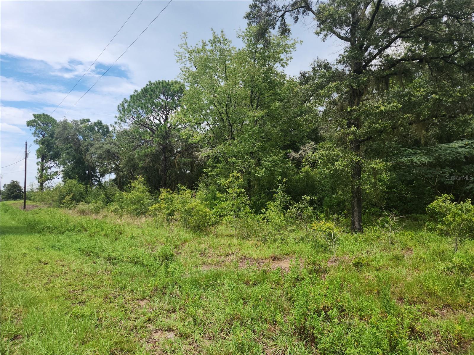 Details for Lot 9 Ivy Place, DUNNELLON, FL 34432