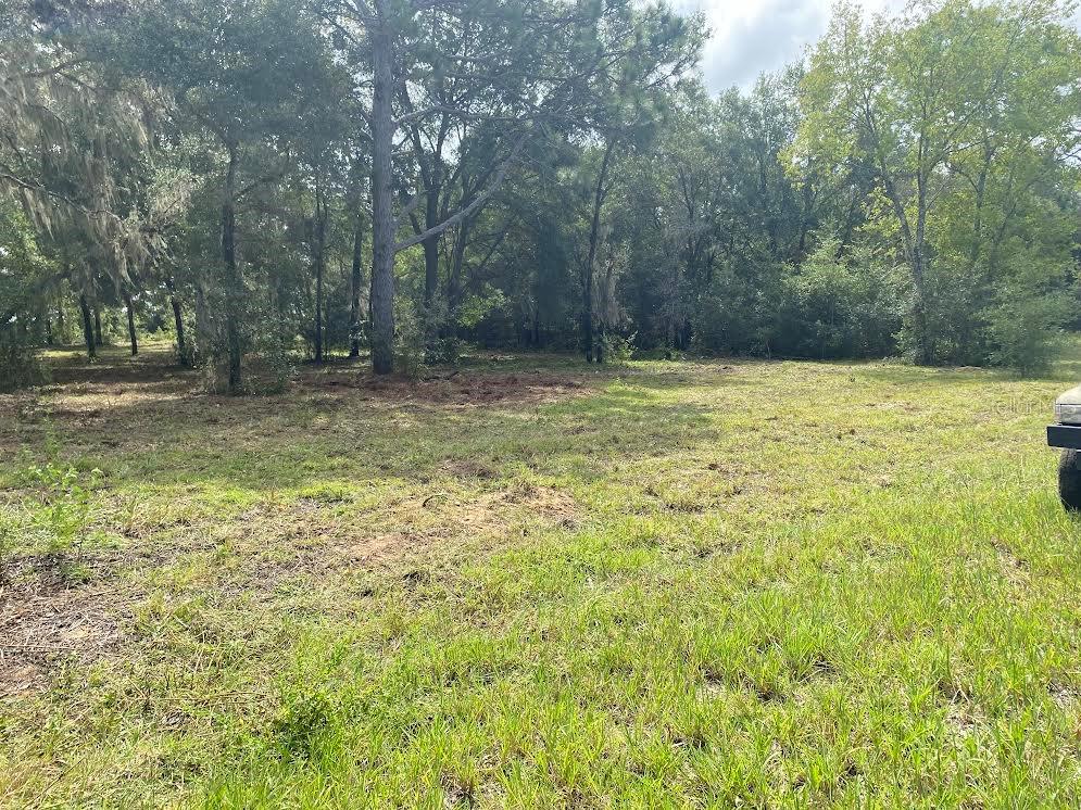 Image 10 of 17 For Lot 9 Ivy Place