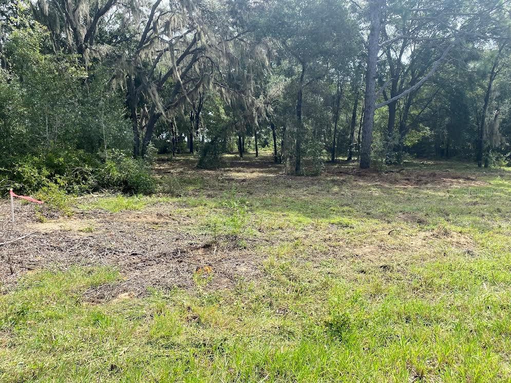 Image 11 of 17 For Lot 9 Ivy Place