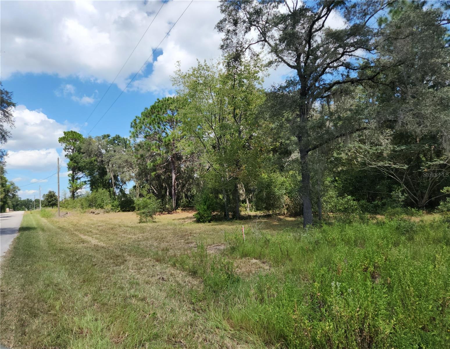 Image 15 of 17 For Lot 9 Ivy Place