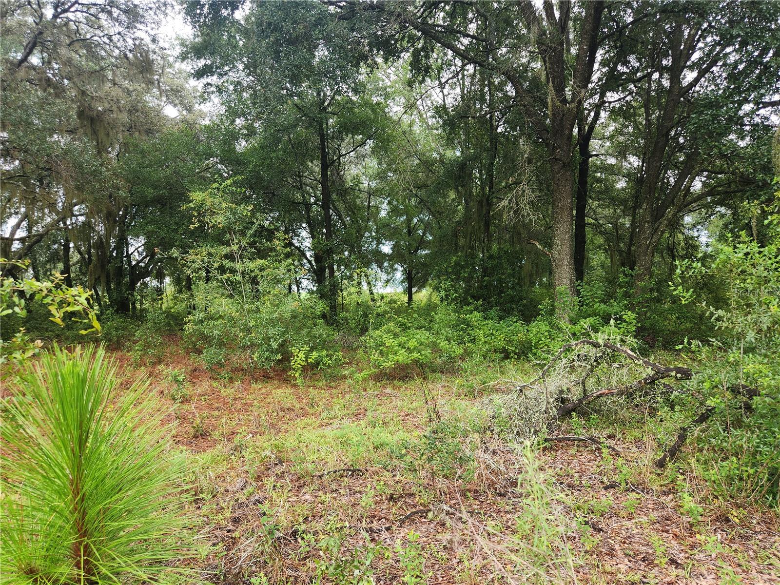 Image 4 of 9 For Lot 9 Ivy Place