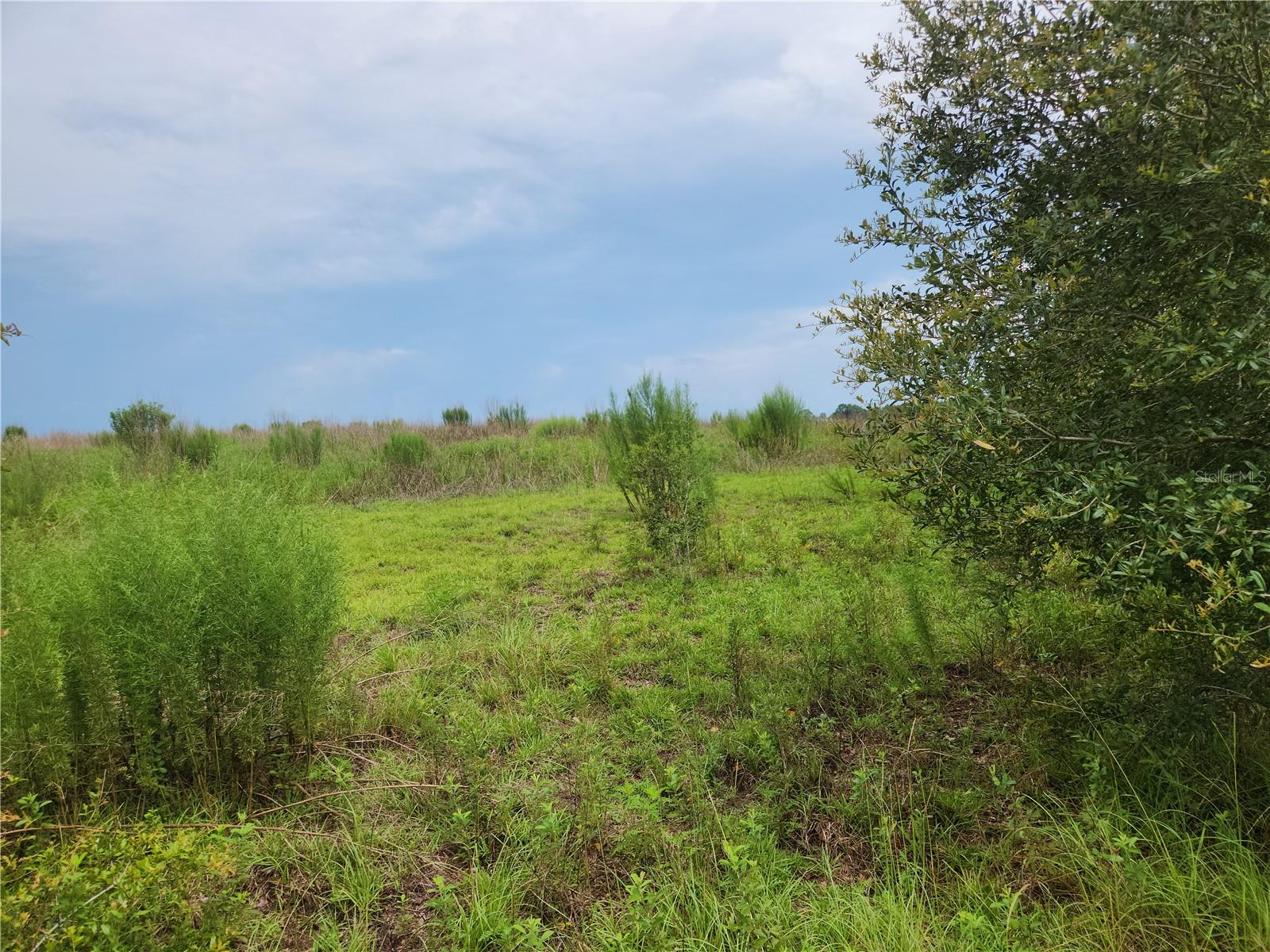 Image 5 of 9 For Lot 9 Ivy Place