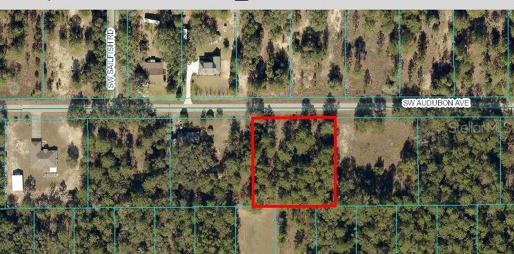 Details for 00 Smallwood Rd, DUNNELLON, FL 34431