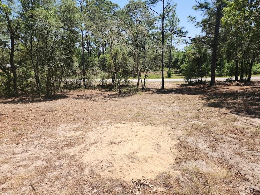 Details for Lot 18 Pine Bluffs Road, DUNNELLON, FL 34432