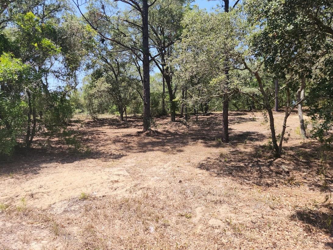 Image 4 of 19 For Lot 18 Pine Bluffs Road