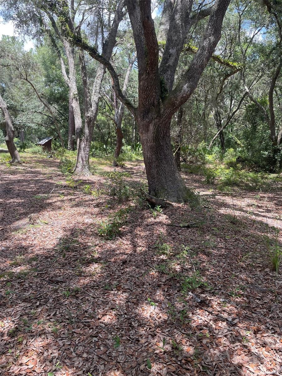 Image 10 of 11 For 8890 146th Place
