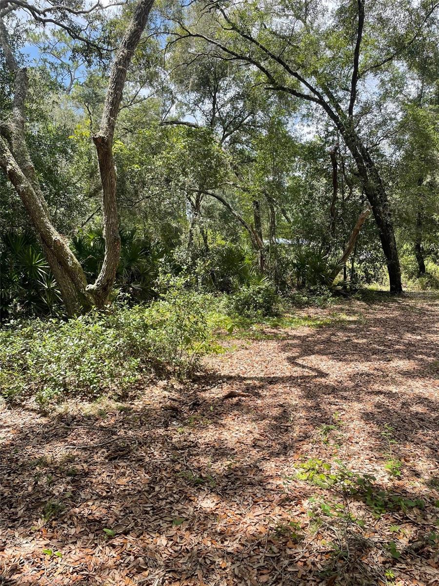 Image 11 of 11 For 8890 146th Place