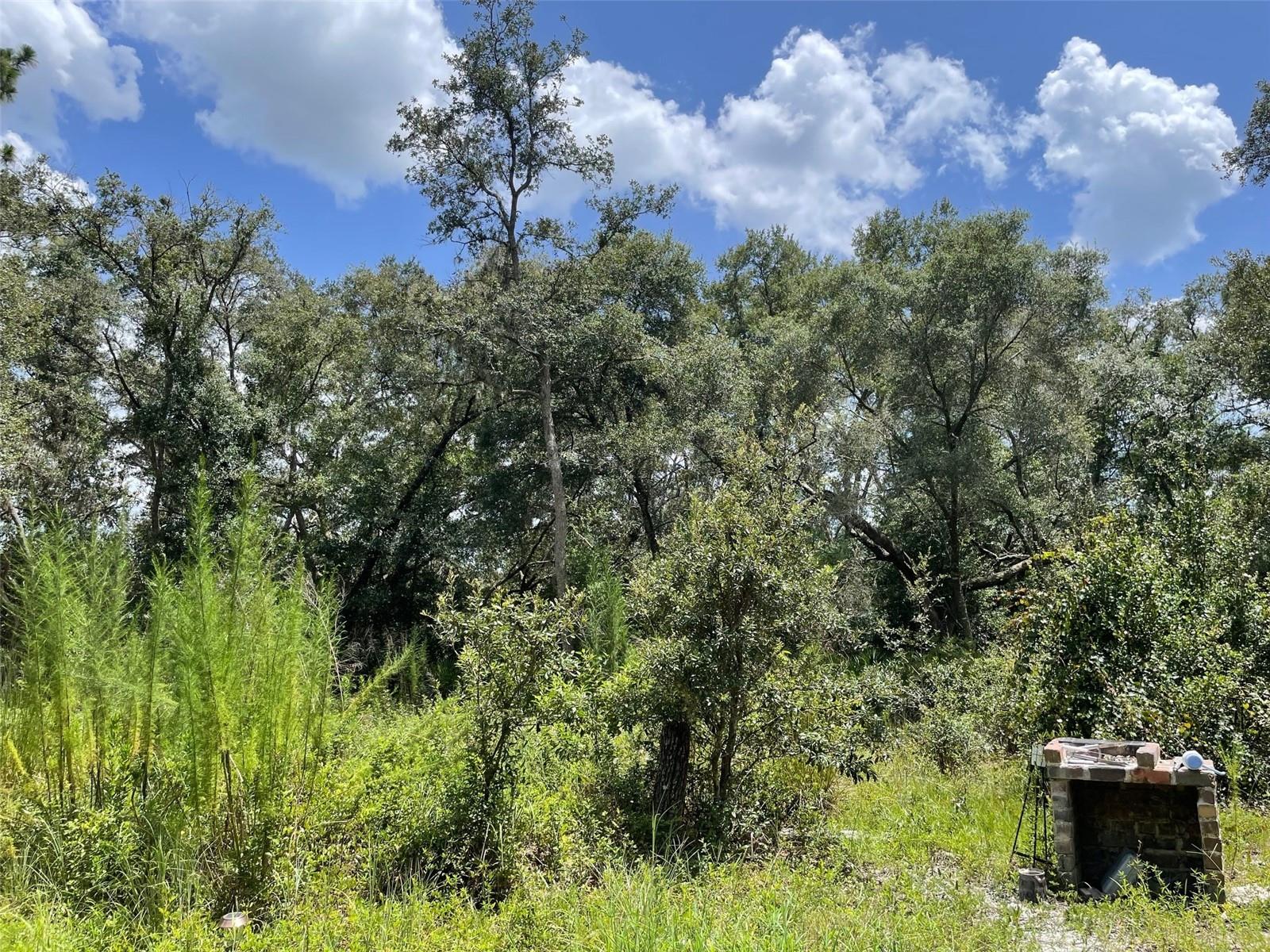 Image 8 of 11 For 8890 146th Place