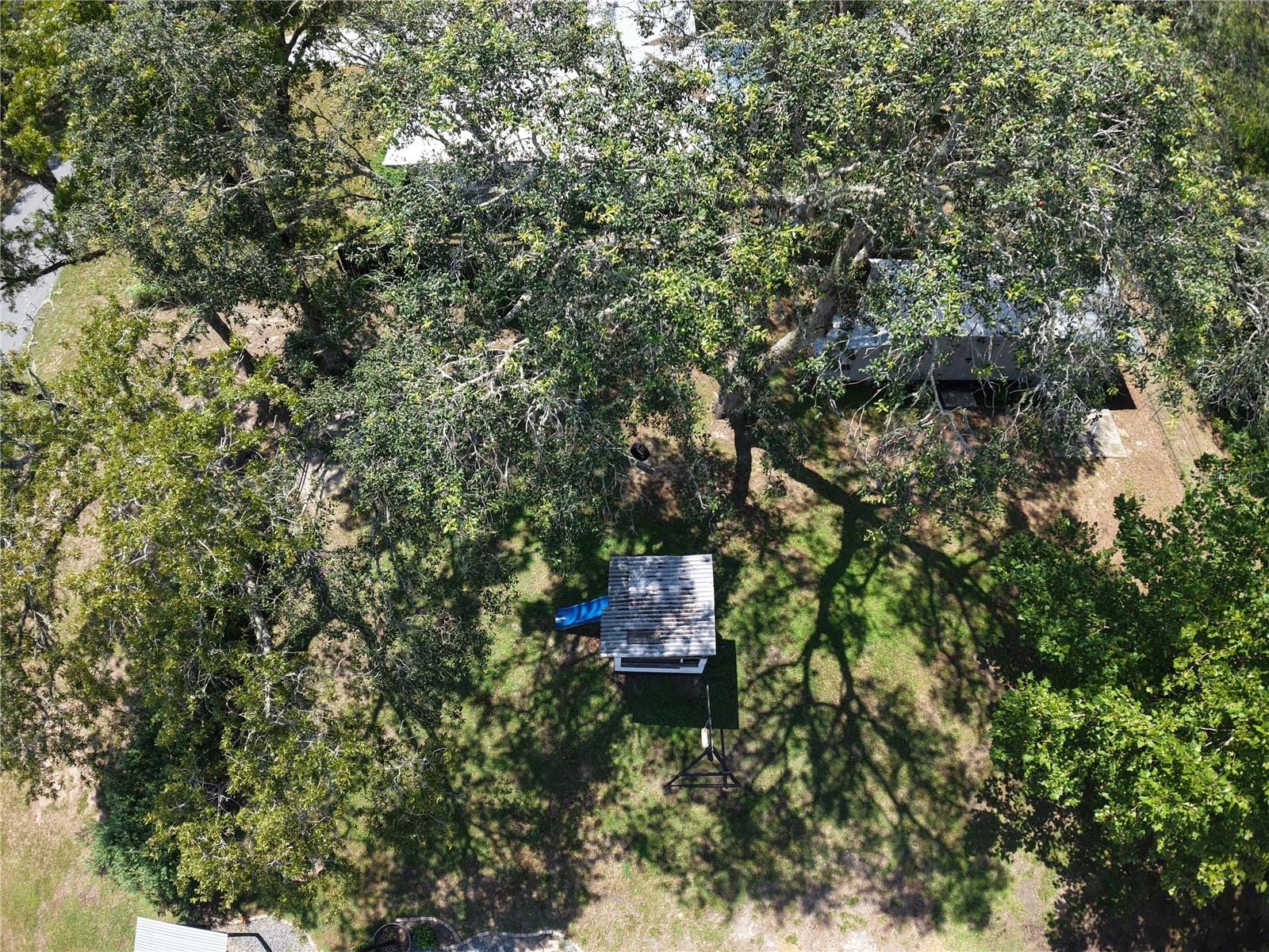Image 11 of 47 For 10335 Citrus Springs Boulevard 9