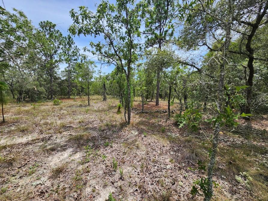 Details for Lot 14 Indian Hill Drive, DUNNELLON, FL 34431