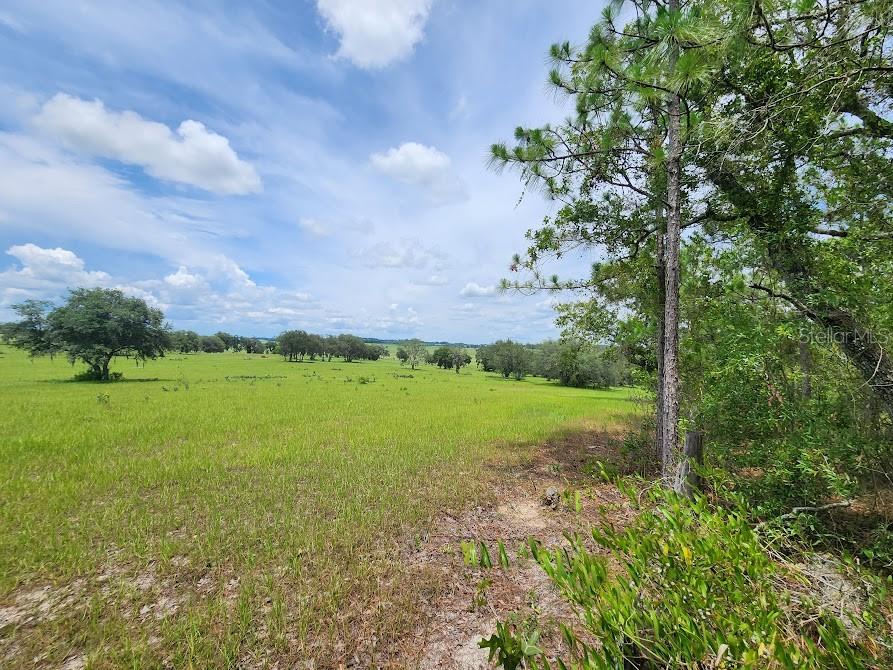 Image 13 of 28 For Lot 14 Indian Hill Drive
