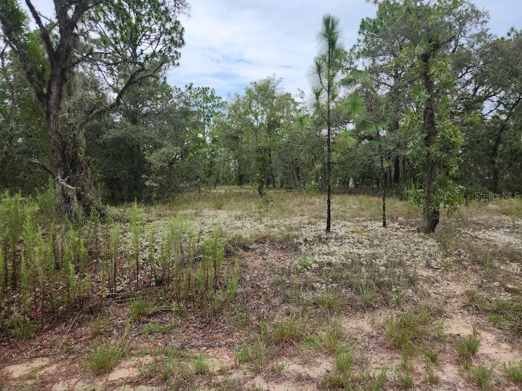 Image 14 of 28 For Lot 14 Indian Hill Drive
